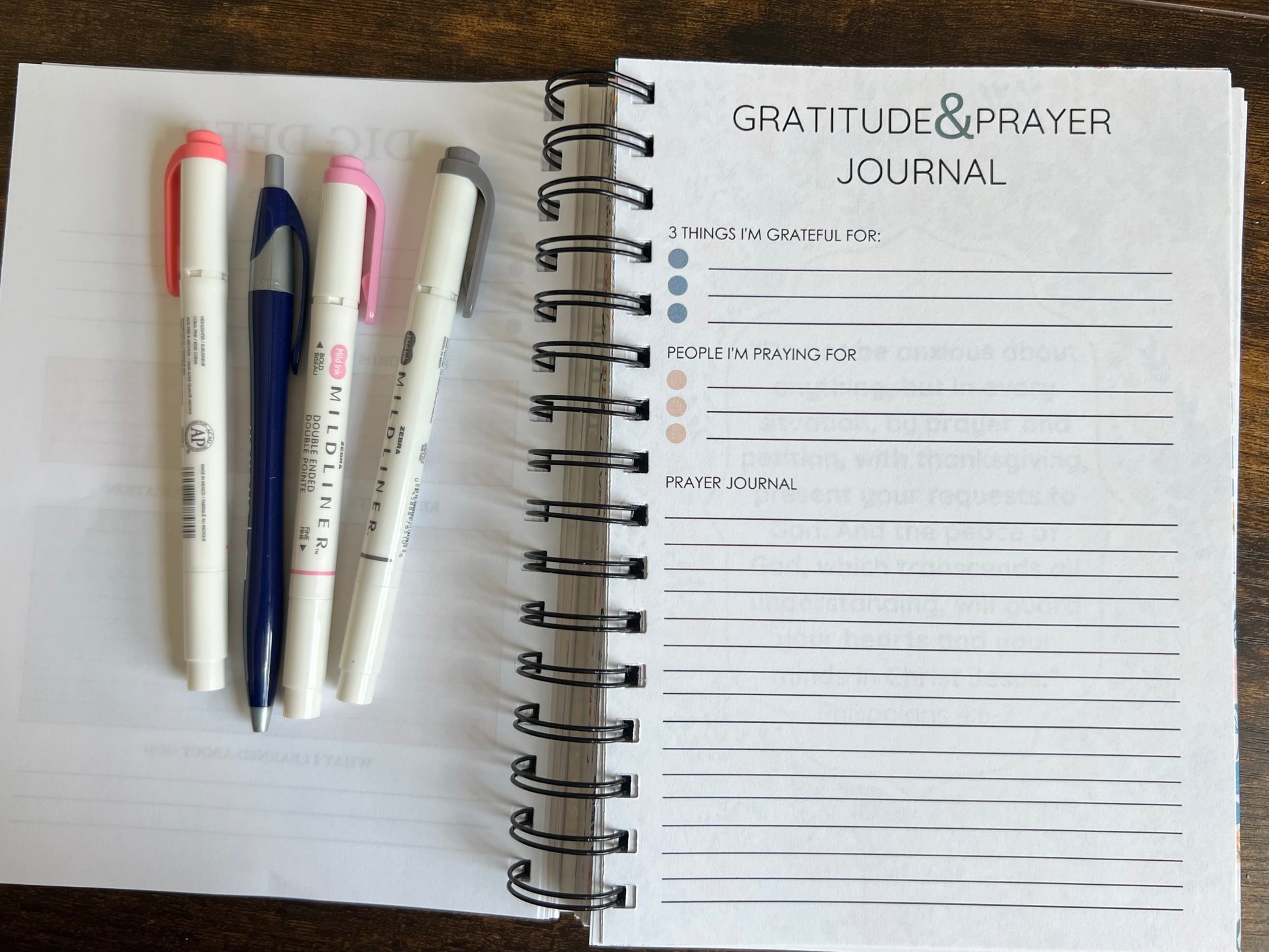 Spiral edition Bible study journal titled "Promises of God" by Sons & Daughters, featuring lined pages for notes and reflections.