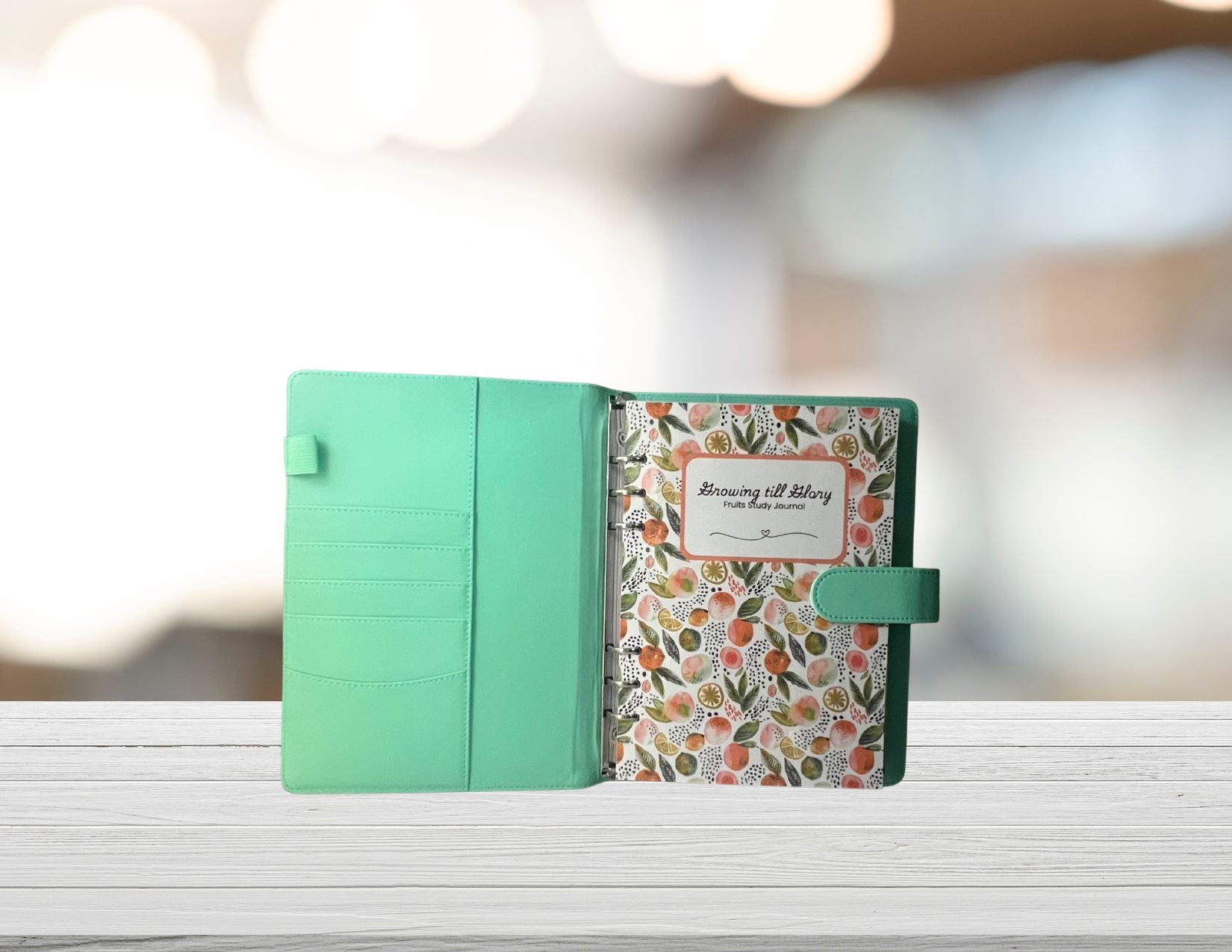Sons & Daughters Growing Till Glory “Fruit of the Spirit” journal bundle with colorful cover design and inspirational artwork.